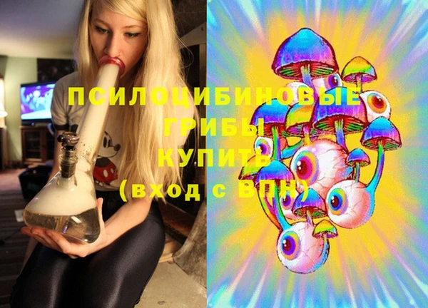 mix Бородино