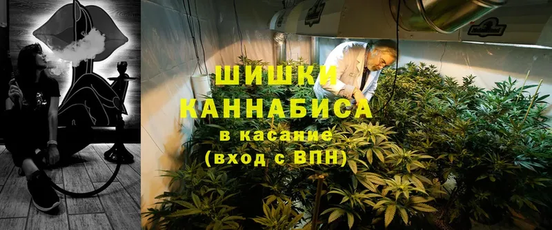 Марихуана White Widow  где купить   блэк спрут рабочий сайт  Рыльск 